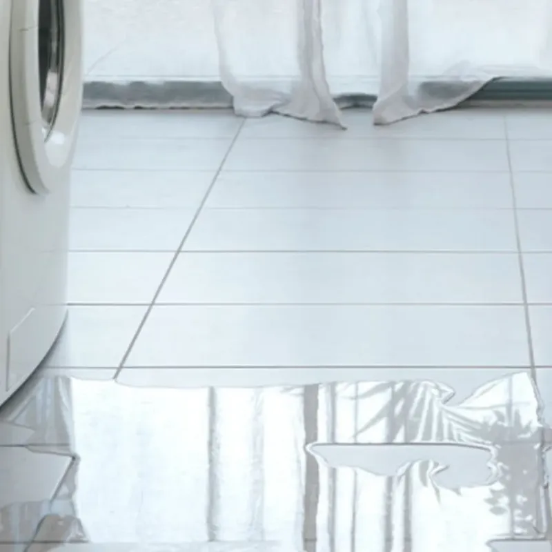 Appliance Leak Cleanup in Oxford, GA