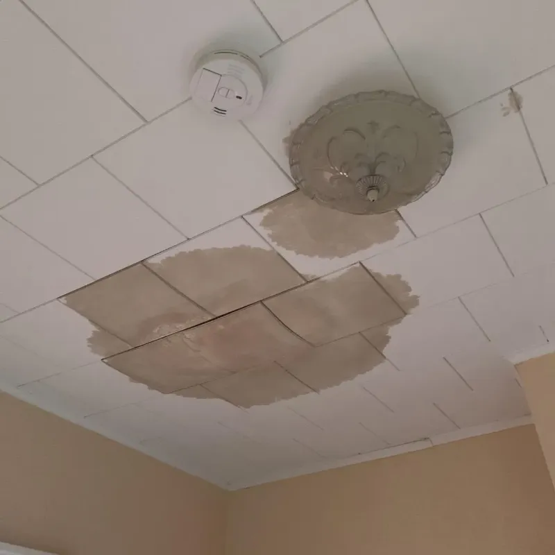 Ceiling Water Damage Repair in Oxford, GA