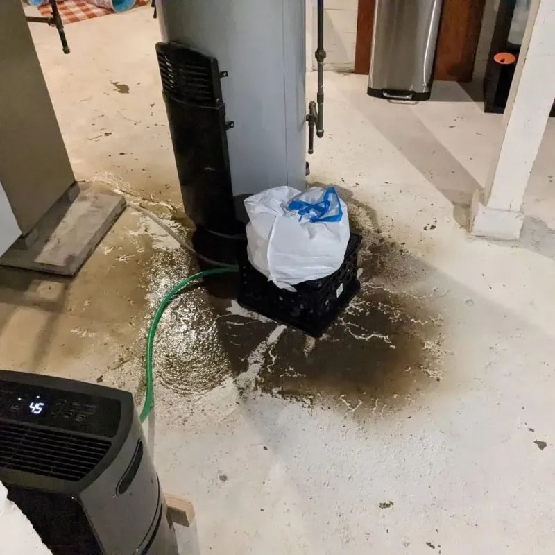Sewage Backup Cleanup Service in Oxford, GA